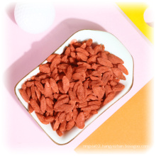 Free Sample Red Goji Bio Benefits